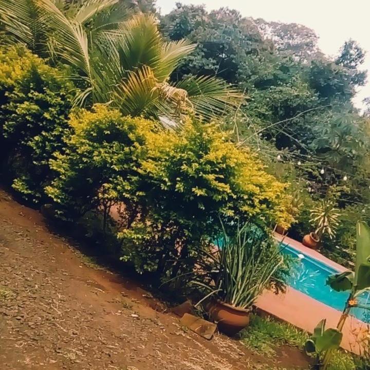 Hotel Y Residencial Amigos Puerto Iguazu Ngoại thất bức ảnh