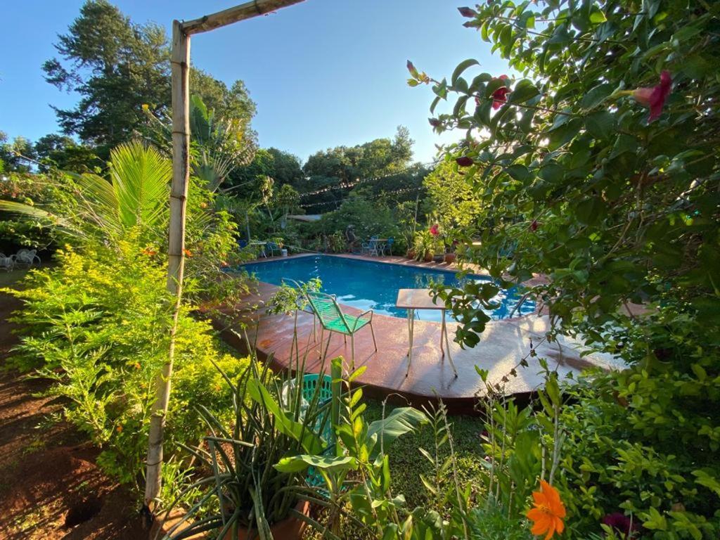 Hotel Y Residencial Amigos Puerto Iguazu Ngoại thất bức ảnh