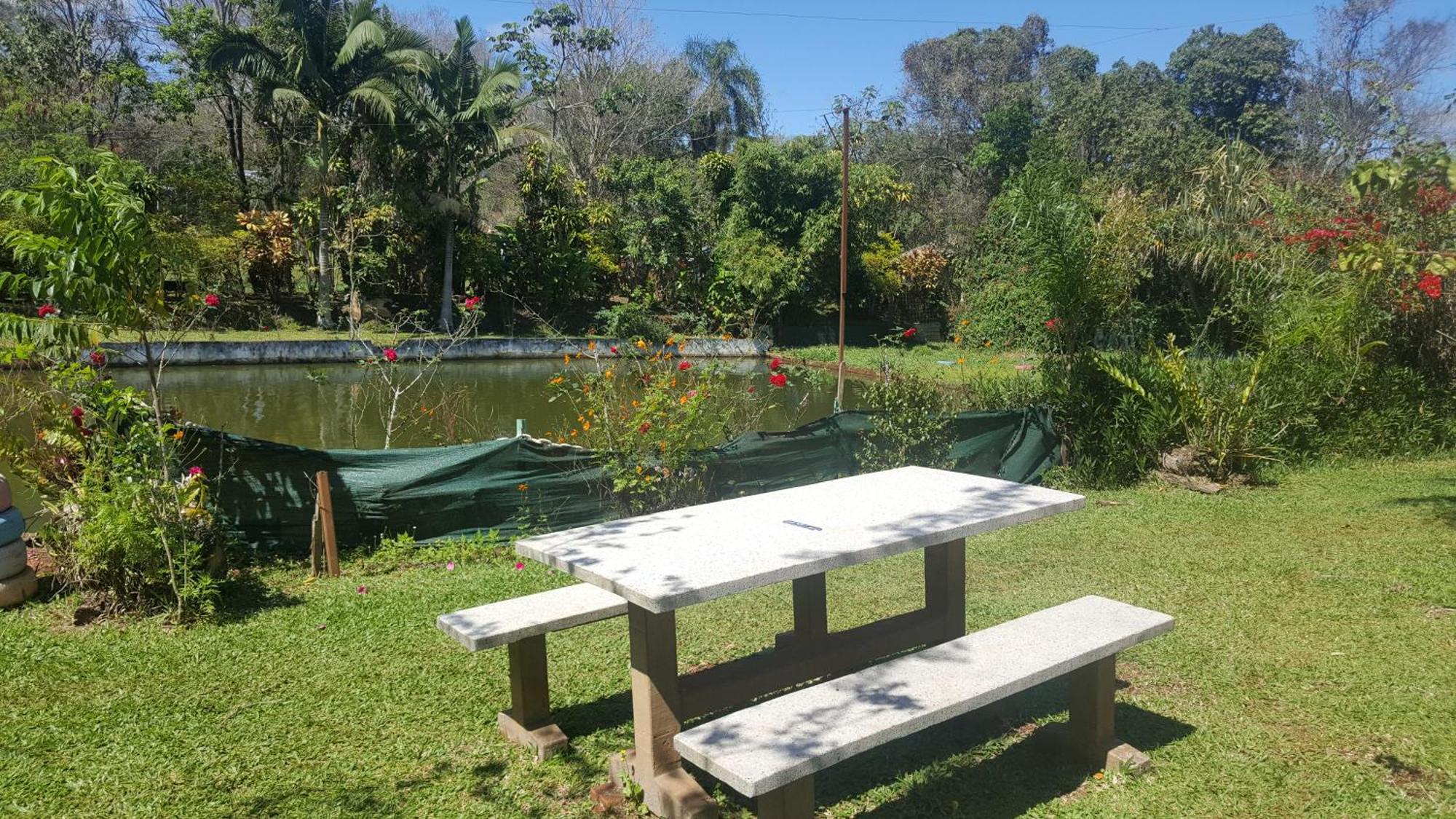 Hotel Y Residencial Amigos Puerto Iguazu Ngoại thất bức ảnh