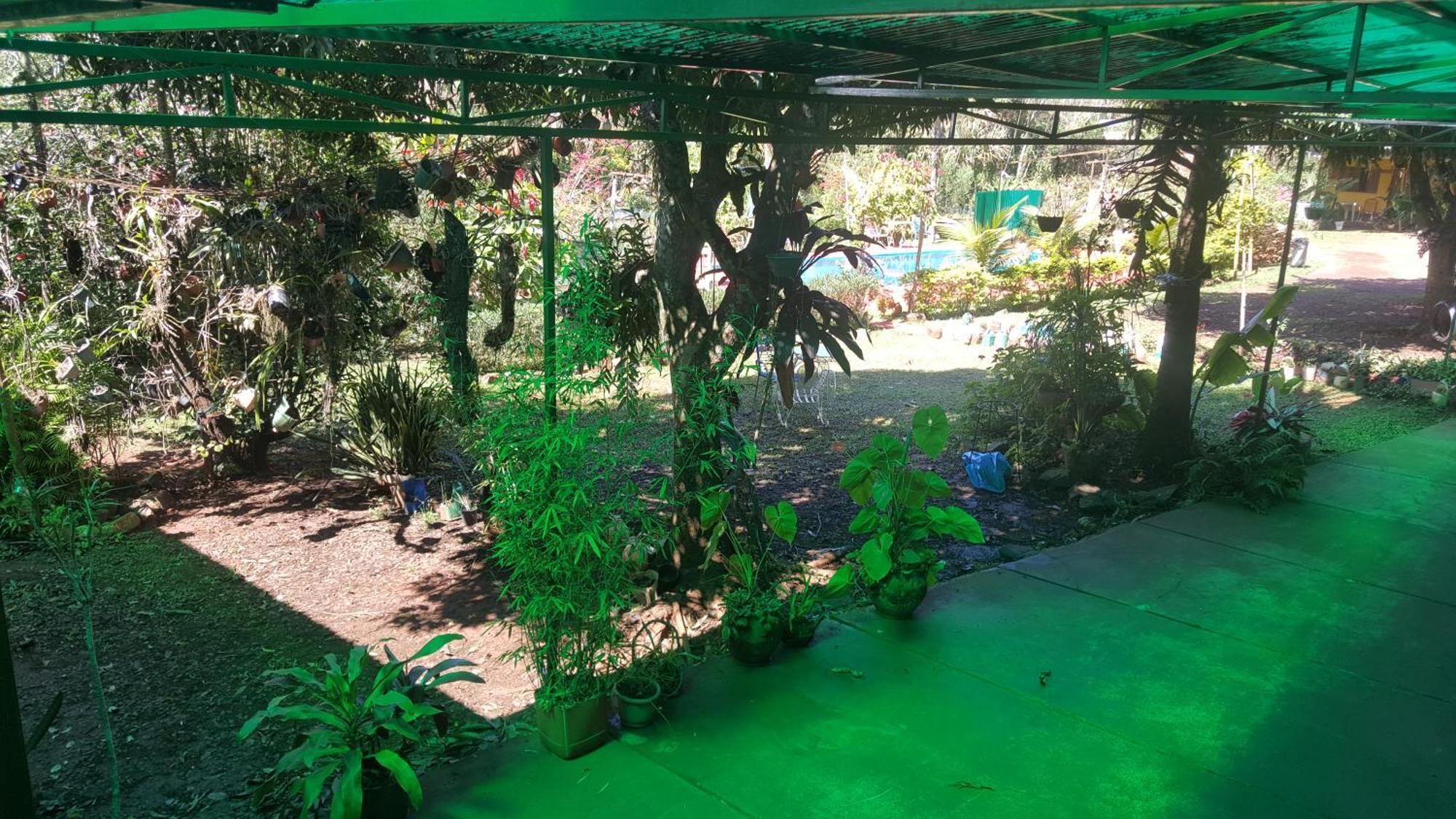 Hotel Y Residencial Amigos Puerto Iguazu Ngoại thất bức ảnh